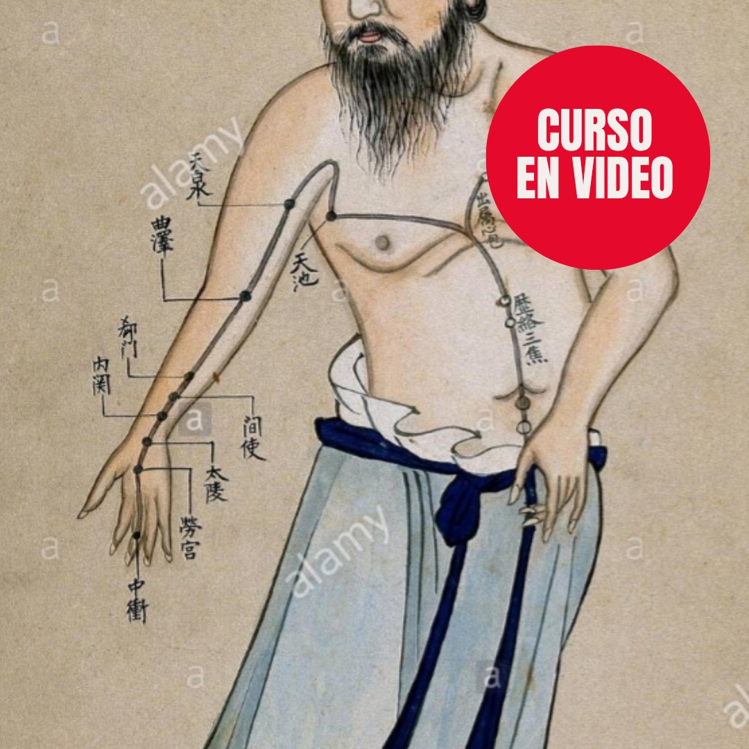 Diagnosis en Medicina China - Thaizen