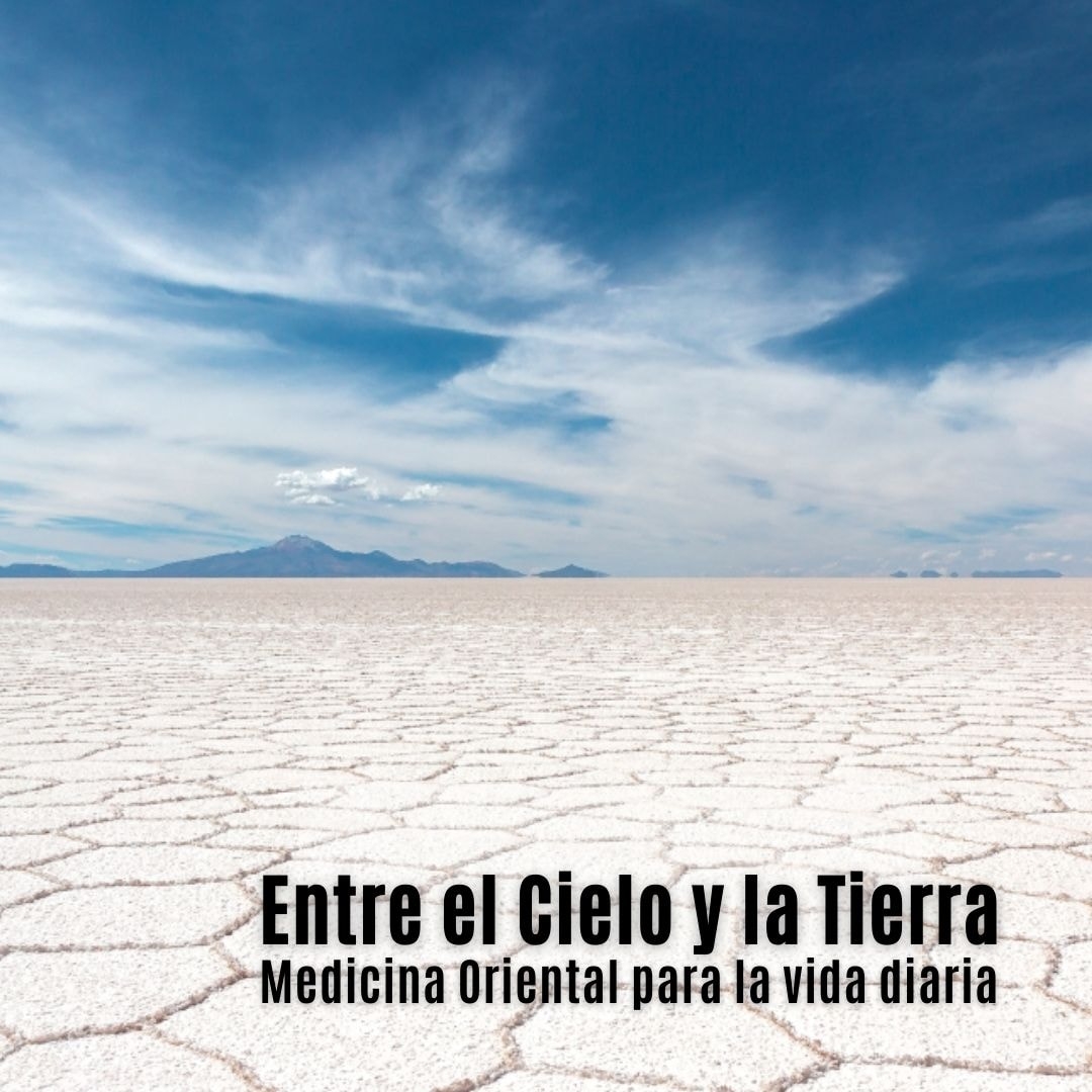 entreelcieloylatierra