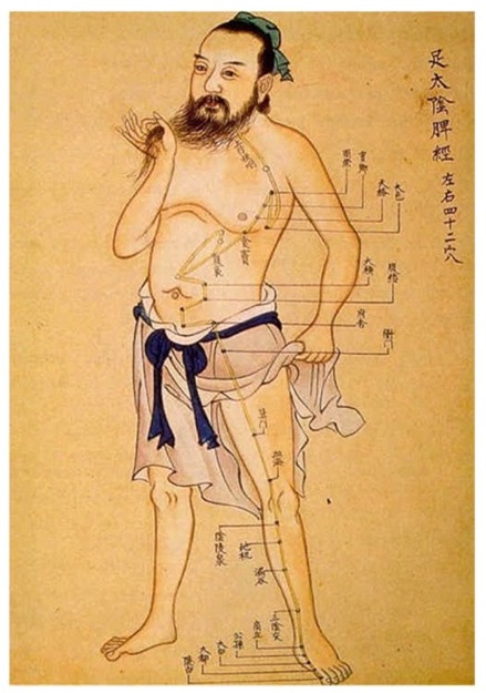 Masaje Tailandes y Zen Shiatsu - Thaizen