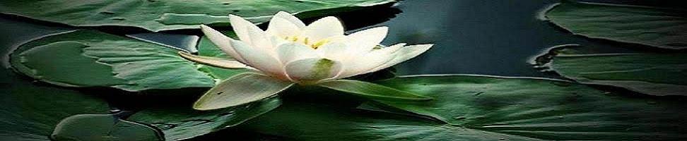 Masaje Tailandes, Shiatsu y Medicina Oriental - Thaizen
