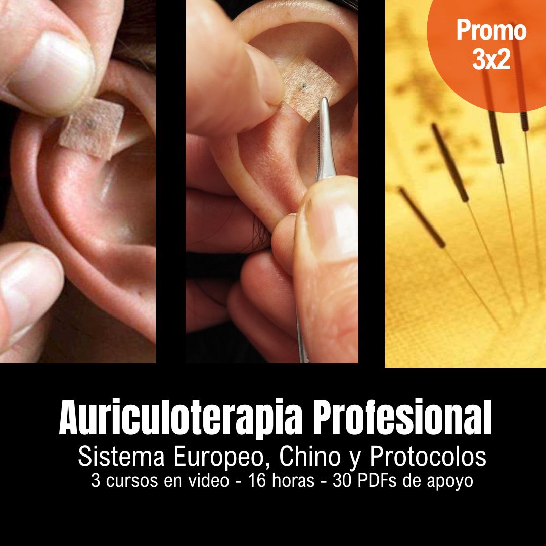 Auriculoterapia Profesional - Thaizen