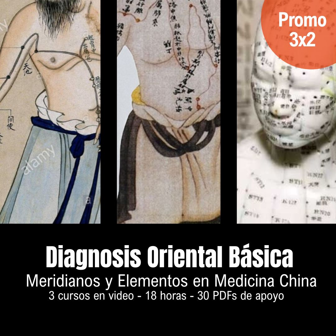 Diagnosis Oriental Básica - Thaizen